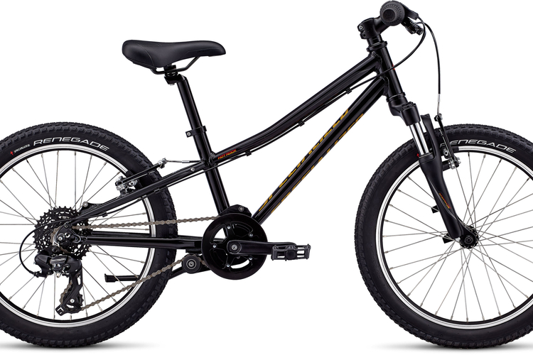 Specialized Hotrock
