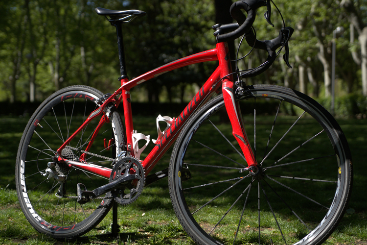 Specialized Secteur