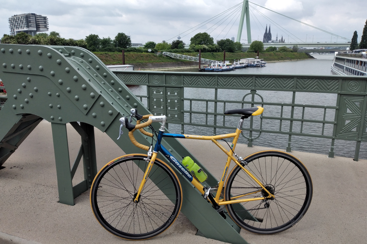 Gazelle Professionell