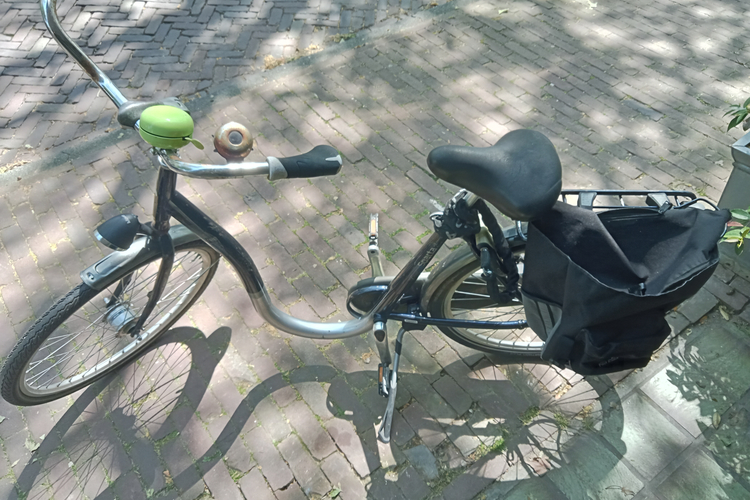 Gazelle Stella stadsfiets