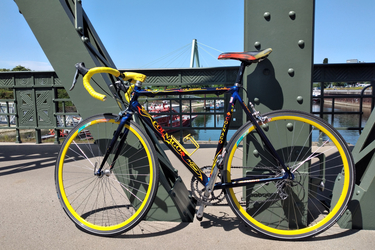 Colnago Art Decor