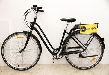 Elops  520