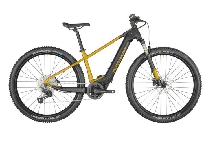 Bergamont E-REVOX Premium