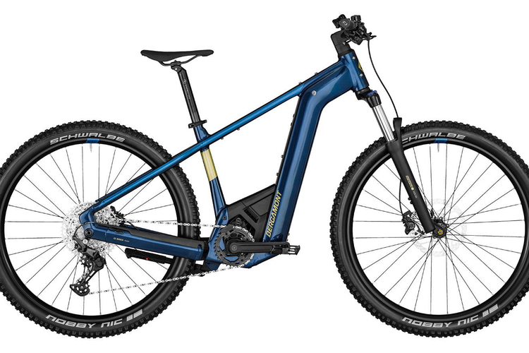 Bergamont E-REVOX Premium