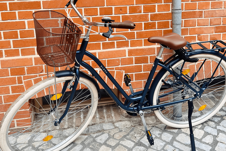 Elops Decathlon Bikecity 28 Zoll (520LF) Hollandrad (6 Gang)
