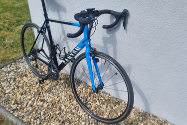 Canyon Endurance AL 6
