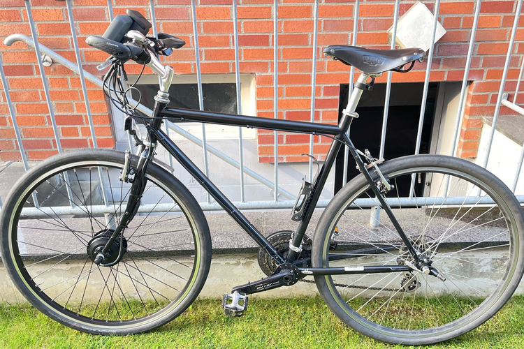 Eigenbau Steel E-Cruiser