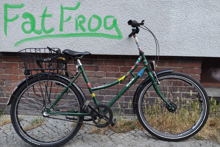 Froschrad FatFrog afbeelding 1