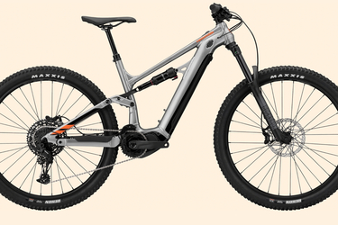 Cannondale Moterra Neo 4