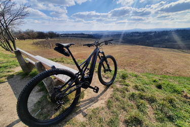 Specialized levo fsr  Levo fsr 2019