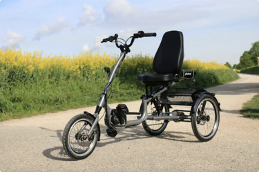 Pfautec Scoobo