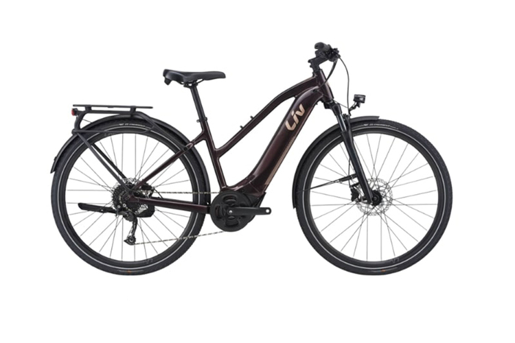 GIANT AMITY E+2