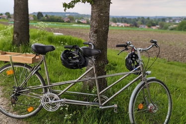 Batavus Sprint