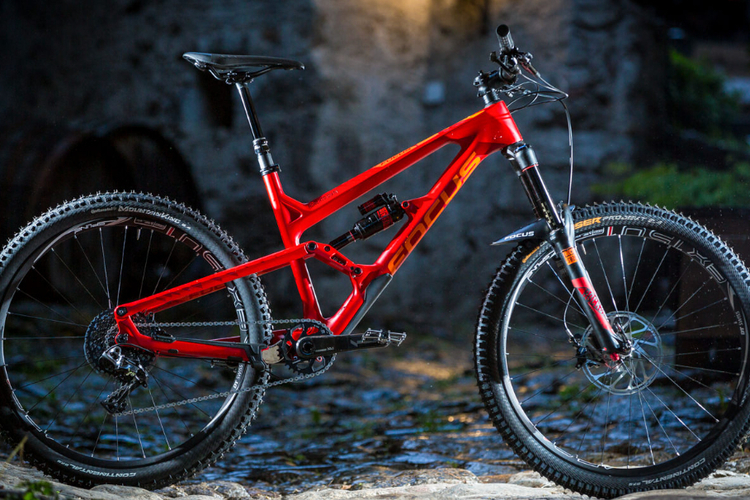 Focus Spine Carbon pro