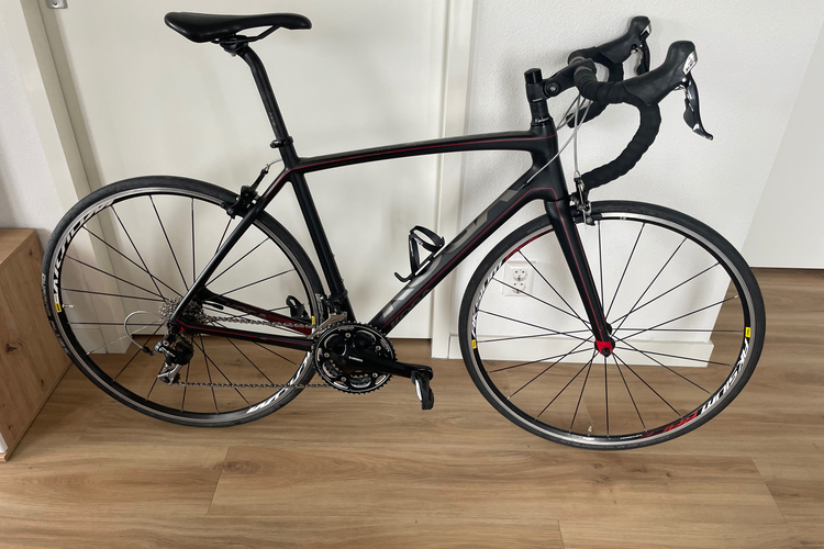 Koga Solacio | Carbon