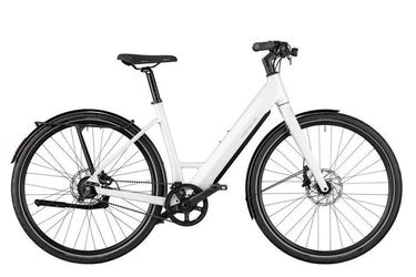 rayanelly tourEbike E-Bike