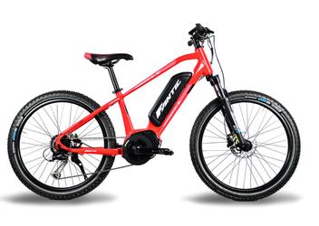 Fantic Junior 24''