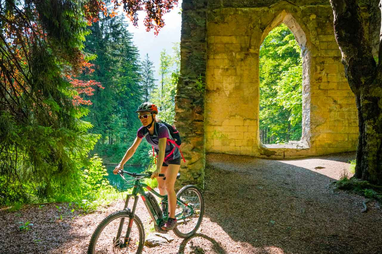 Moustache X6 - Aloi Junior