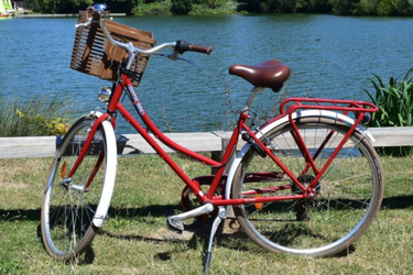 ARCADE COFFEE BIKE