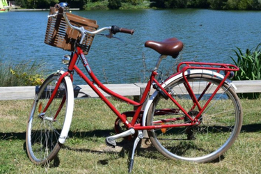 ARCADE COFFEE BIKE