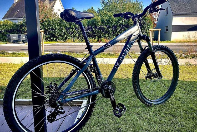 Kona Shred