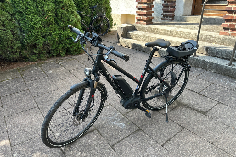Pegasus E10 mit starkem Bosch CX Motor