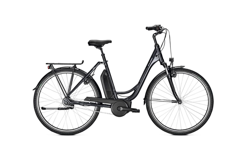 Raleigh Jersey Plus 7G