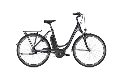 Raleigh Jersey Plus 7G