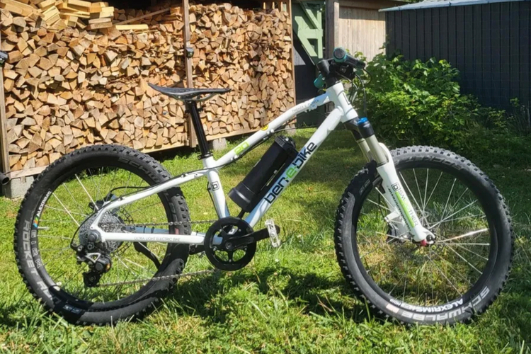 Ben-e-bike Twenty E-Power Pro