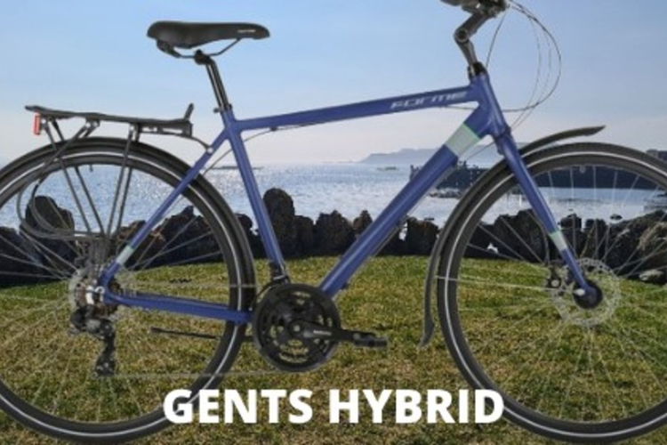 Forme Hybrid