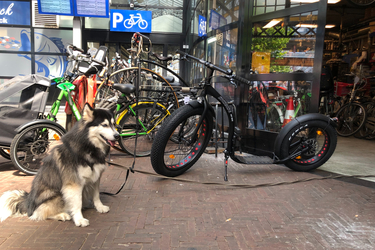 kickbike scooter