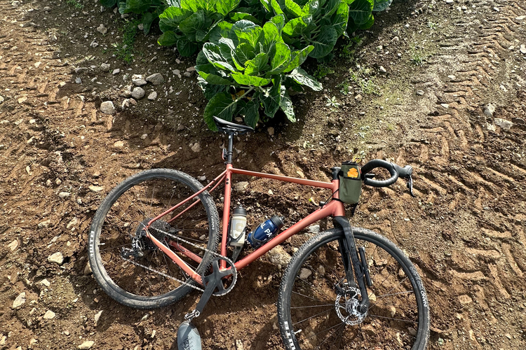 Rondo Ruut AL 2 Disc Gravel Bike
