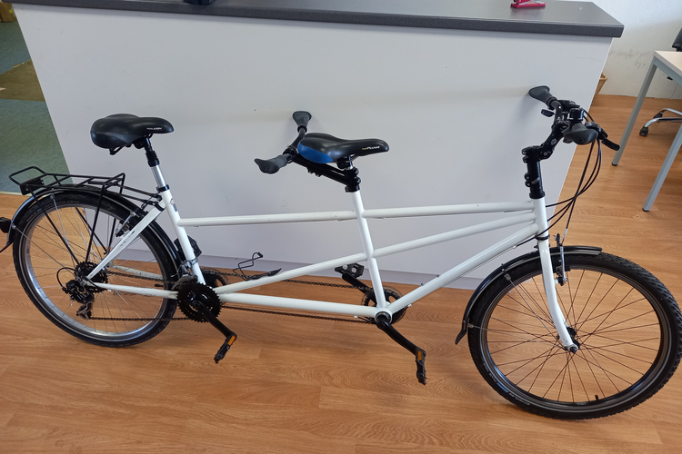 Raleigh Tandem