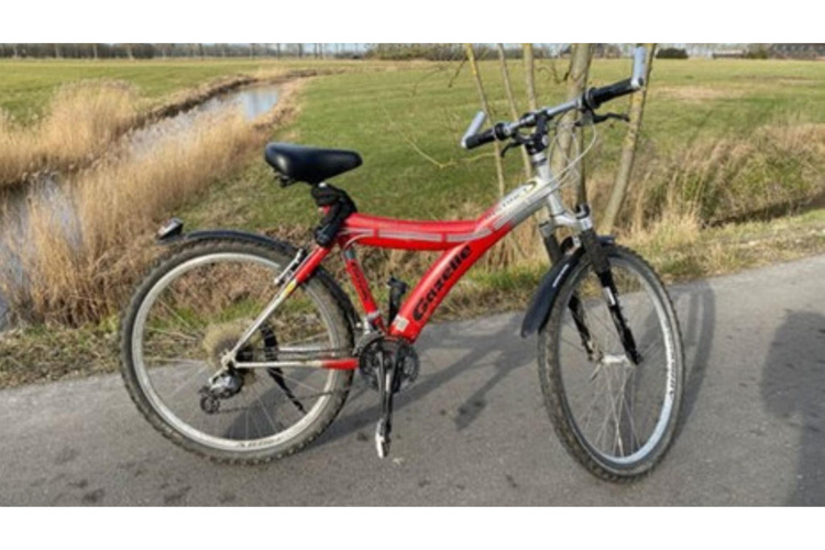 Mountainbike MTB