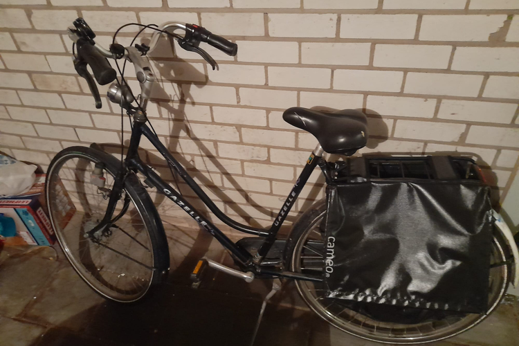 Gazelle Stadsfiets