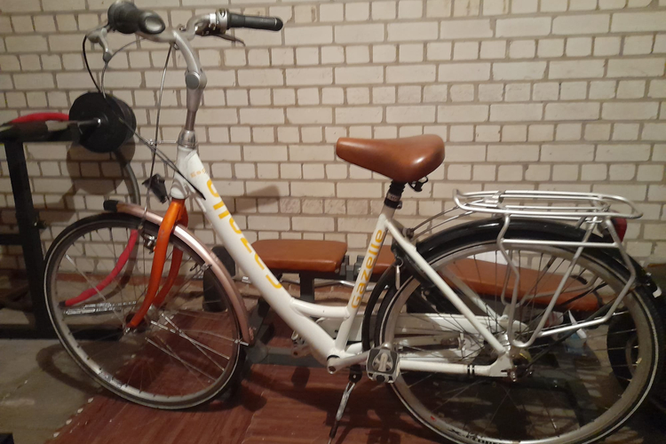 Gazelle Espirit Trendy