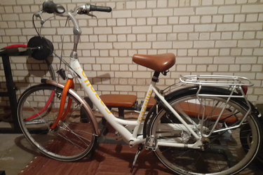 Gazelle  Espirit Trendy