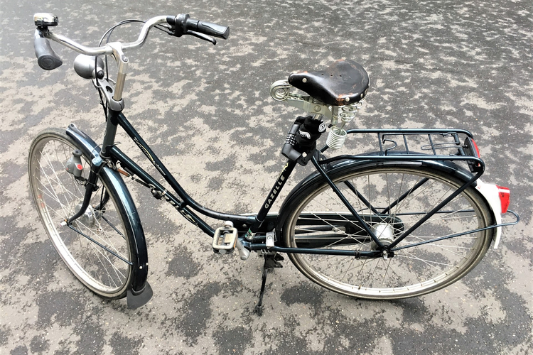 Gazelle Tournee Ambiance