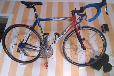 Wilier TEAM FESTINA