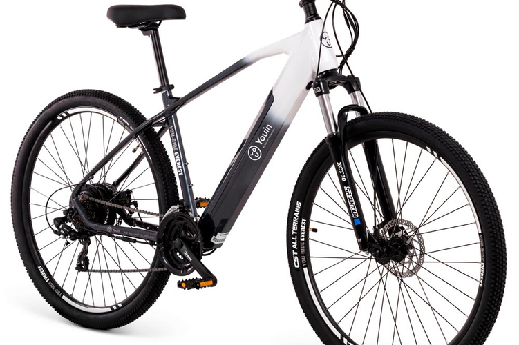 Youin E-MTB 29