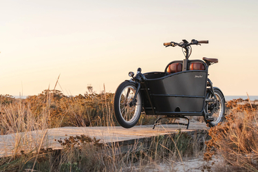 Johnny Loco Twin Cruiser