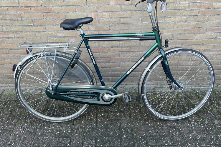 Batavus Allegro