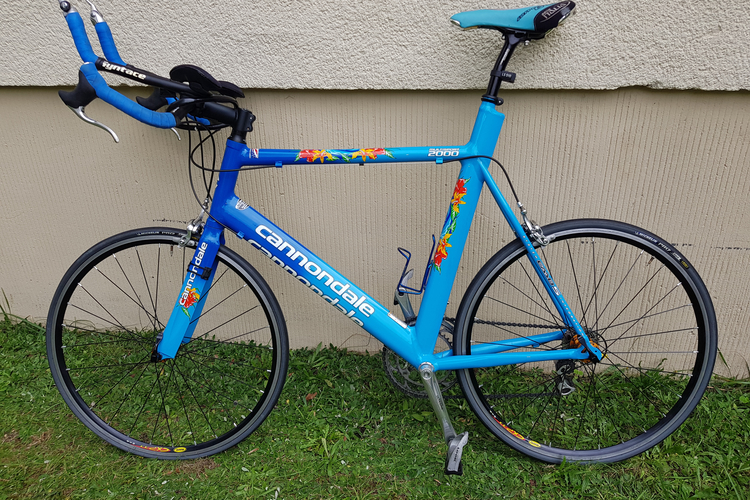 CANNONDALE Multisport 2000