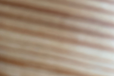 FOCUS Gravelbike