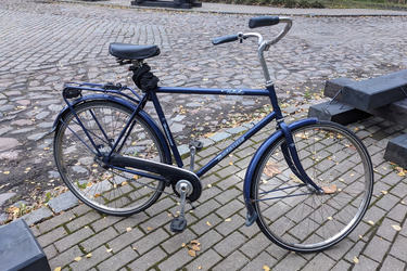 Batavus Holiday