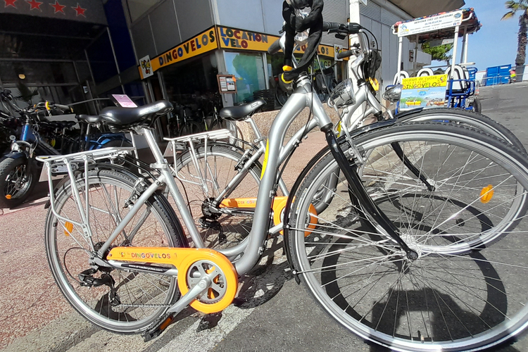 ARCADE Charleston Dingovelos