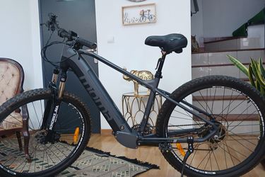 Moma EMTB