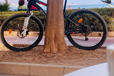 Rockrider St 120