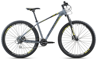 Bottecchia 116