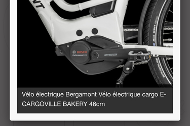 bergamont CARGO E BAKERY